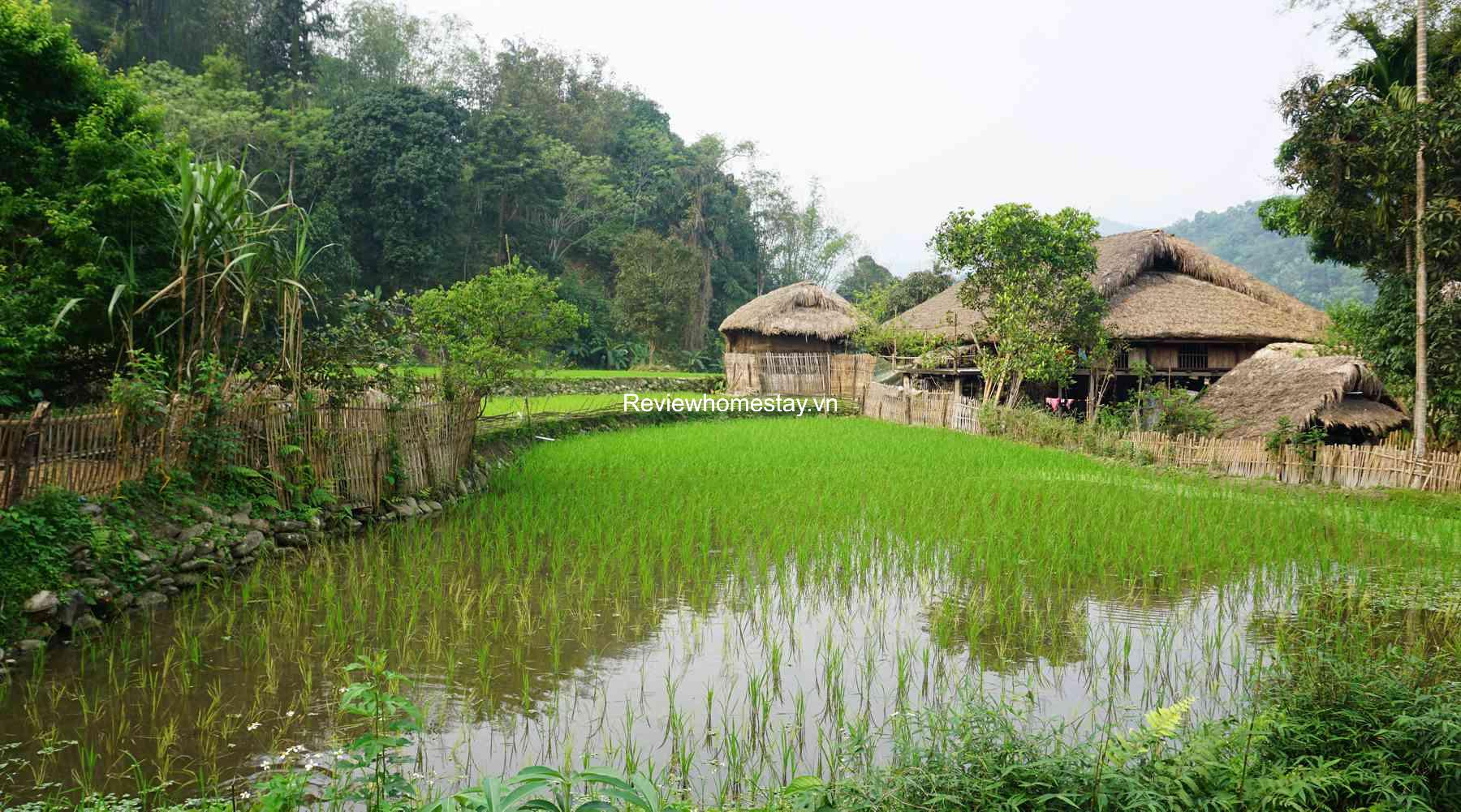 Top 20 Homestay Hà Giang Đồng Văn giá rẻ view đẹp ở trung tâm