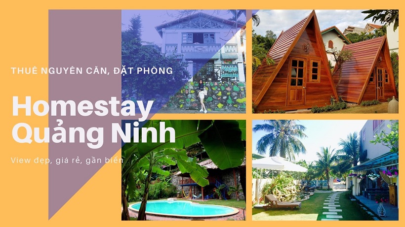 Top 10 Homestay Quảng Ninh: Khu vực Hạ Long, Cẩm Phả, Uông Bí, Móng Cái
